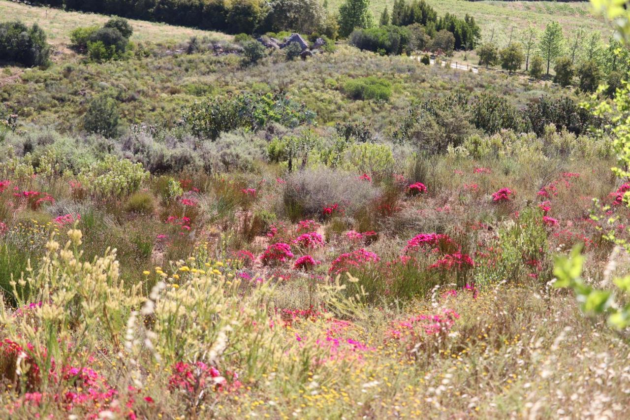 Highlands Eco Estate Hotel Piketberg Kültér fotó